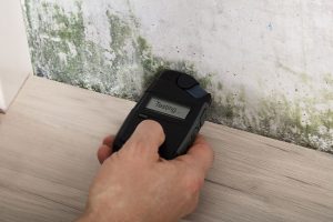What You Need to Know About Mold Testing