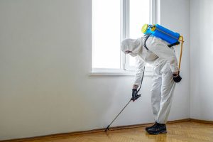 Five Reasons You Should Leave House Mold Removal to the Pros