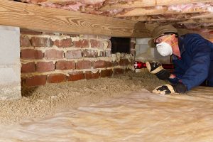 Uncovering Warnings: What Experts Look for During a Crawlspace Inspection