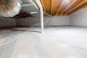 Why You Should Not DIY a Crawlspace Inspection